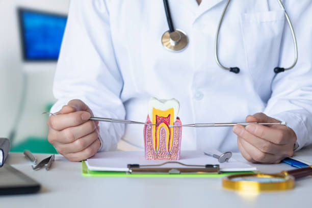 Best Mobile Emergency Dentist in Madison, MS